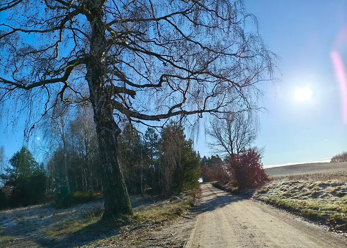 Z Balia Na Kaszubach W Pomysku Malym Prázdninový dům *